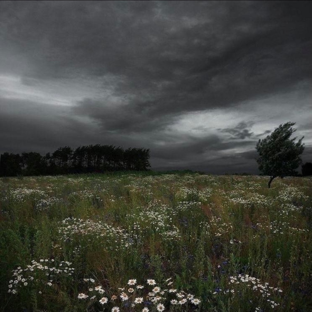 Meet your Posher, DeLaney